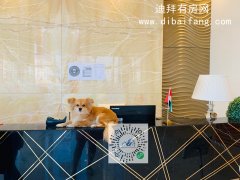 2021����������Ŧ���ĵض��ڵ�**�ѾƵ�ʽ��Ԣ - Ten