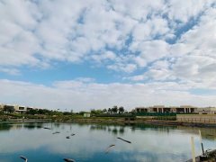 �ϰݷ�����������ɽׯ���߶���������4�����ű�����350��