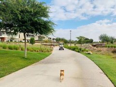 �ϰݷ�����������ɽׯ���߶���������4�����ű�����350��