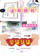 ����ĵϰݷ���Ҫ�����ˣ��������й�����ô���أ������Ƶ��Ȩί