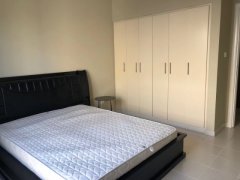 �ϰݱ����������