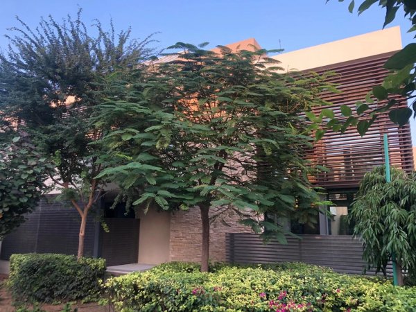 临近市中心的森林别墅 临近市中心的森林别墅