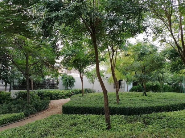 临近市中心的森林别墅 临近市中心的森林别墅