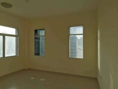 CBD �����Լ۱����������ʳ�¯���ȵ��ȵ�