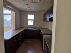 CBD �����Լ۱����������ʳ�¯���ȵ��ȵ�