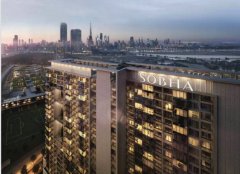 �װԵز�(����������)