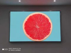 �Ƶ����ڸ���LED��ʾ����Ϊ��ʳ����