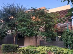 �ٽ������ĵ�ɭ�ֱ���