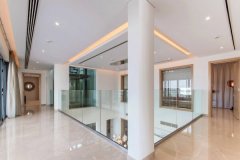 �ٽ������ĵ�ɭ�ֱ���