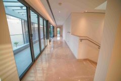 �ٽ������ĵ�ɭ�ֱ���