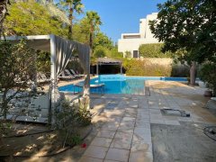 ׼�ַ�ɭ�ֱ���