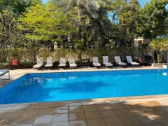 ׼�ַ�ɭ�ֱ���