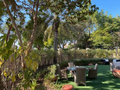 ׼�ַ�ɭ�ֱ���