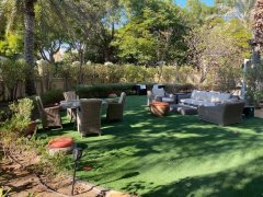 ׼�ַ�ɭ�ֱ���