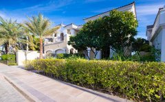 ��鵵��෿��������