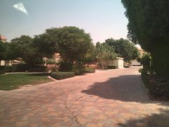 ��������*The villa* ����5����������