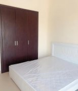 ����������� ��Ԣ������۳������Ӧ�о���