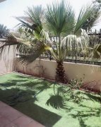 ����������� ��Ԣ������۳������Ӧ�о���