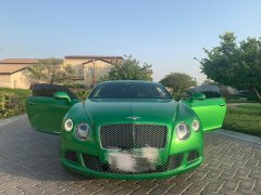 ����-ŷ½GT12W��������ɫ����ɧ����