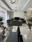 �ϰݷ��� ��©5����������