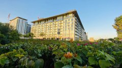 �ϰݷ������ϰ�ѧ�������װ�����أ�WAVES �˻����ݣ��¹�