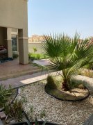 Al Warqa ���Ҿ߼ҵ�5+1���������������