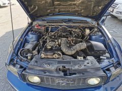 ����Ұ����2009��V6��14����������κ�����