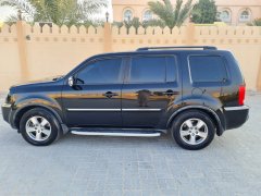 ����2010�����м�pilot