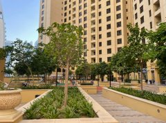 JBR���� ������ ����