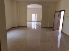 Nad Al Sheba 8+2�������������±���