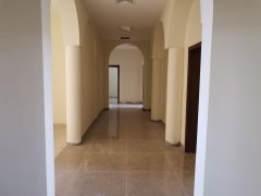 Nad Al Sheba 8+2�������������±���