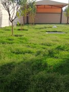 �����Ƶ긽��5+1����������