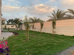 �����Ƶ긽��5+1����������