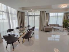 ������6+1��������������