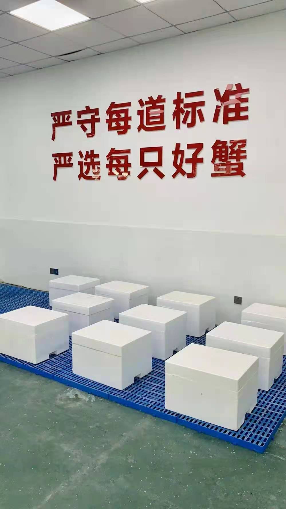 鲜活六月黄大闸蟹,中秋节月饼礼盒,迪拜全城配送 鲜活六月黄大闸蟹,中秋节月饼礼盒,迪拜全城配送