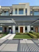 ��ϰ�������ީ���ı����ַ����ۡ� 