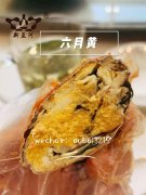 �ʻ����»ƴ�բз,������±���У��ϰ�ȫ������