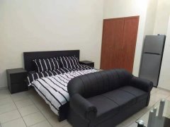 ���ʳ��й�������studio����2800/�� �����ס������