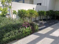 ����Ԣ��Ǯ�����amp;#127969;