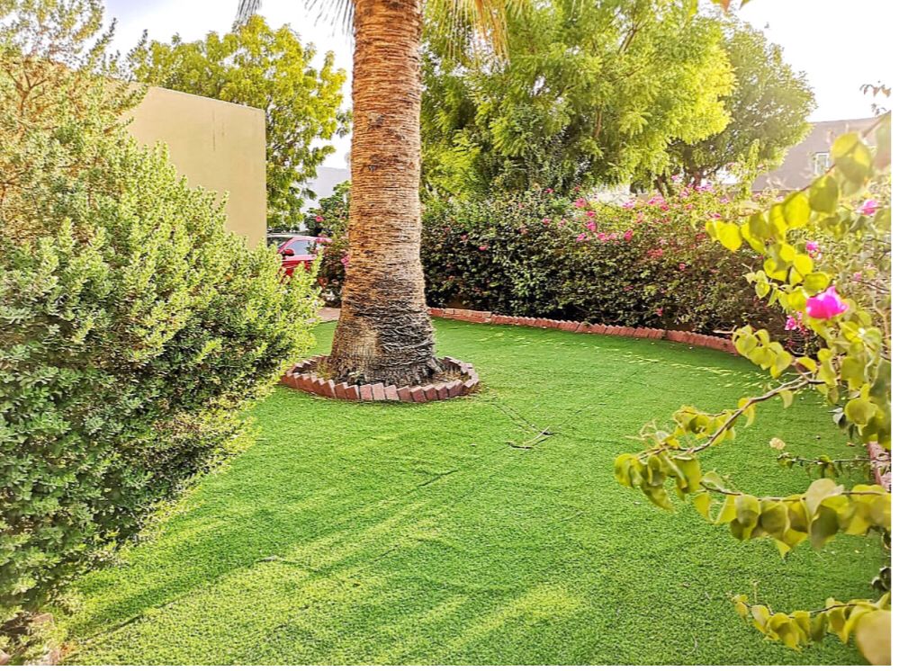 °¢À²®É½×¯ 5·¿³öÊÛ °¢À²®É½×¯ 5·¿³öÊÛ