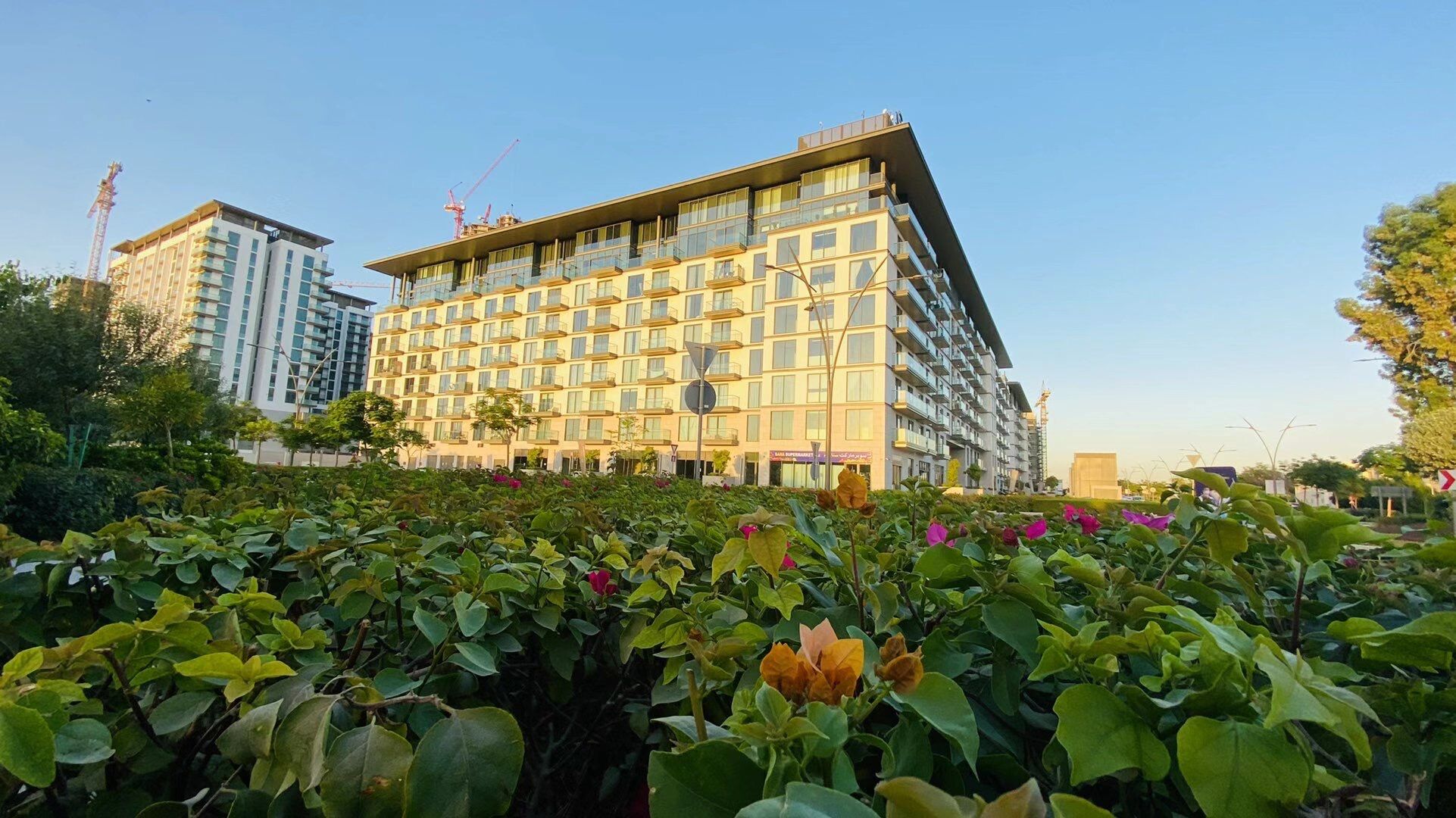 µÏ°Ý·¿²ú£ºÊ×°ÔÐÄÁìµØ£¬µÏ°ÝÑ§Çø·¿£¬ÖÇÄÜÐÍסլ¹«Ô¢£¬¾°ÜöÒ»ºÅ µÏ°Ý·¿²ú£ºÊ×°ÔÐÄÁìµØ£¬µÏ°ÝÑ§Çø·¿£¬ÖÇÄÜÐÍסլ¹«Ô¢£¬¾°ÜöÒ»ºÅ