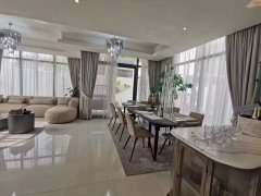 300���������������  Damac Hills-1  TH