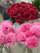 国际城 找房小能手 国际城 找房小能手