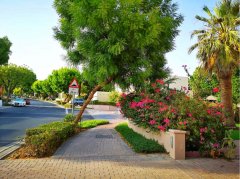 °¢À²®É½×¯ 5·¿³öÊÛ °¢À²®É½×¯ 5·¿³öÊÛ