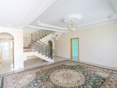 .Nadd Elhamer��5��+��ķ��+˾������25�����