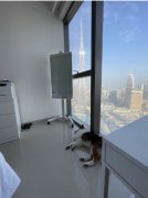 Downtown ϡ�г��߲�2����Ԣ ����ֱ��ϰ�mall