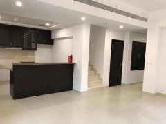 ��©�������ű���