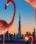 �ϰݷ����� �ϰ������ľ���2��Ĺ�Ԣ��������Դ