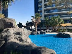 ��ӵ��������������+����������ʽ����