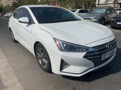 2019��������������